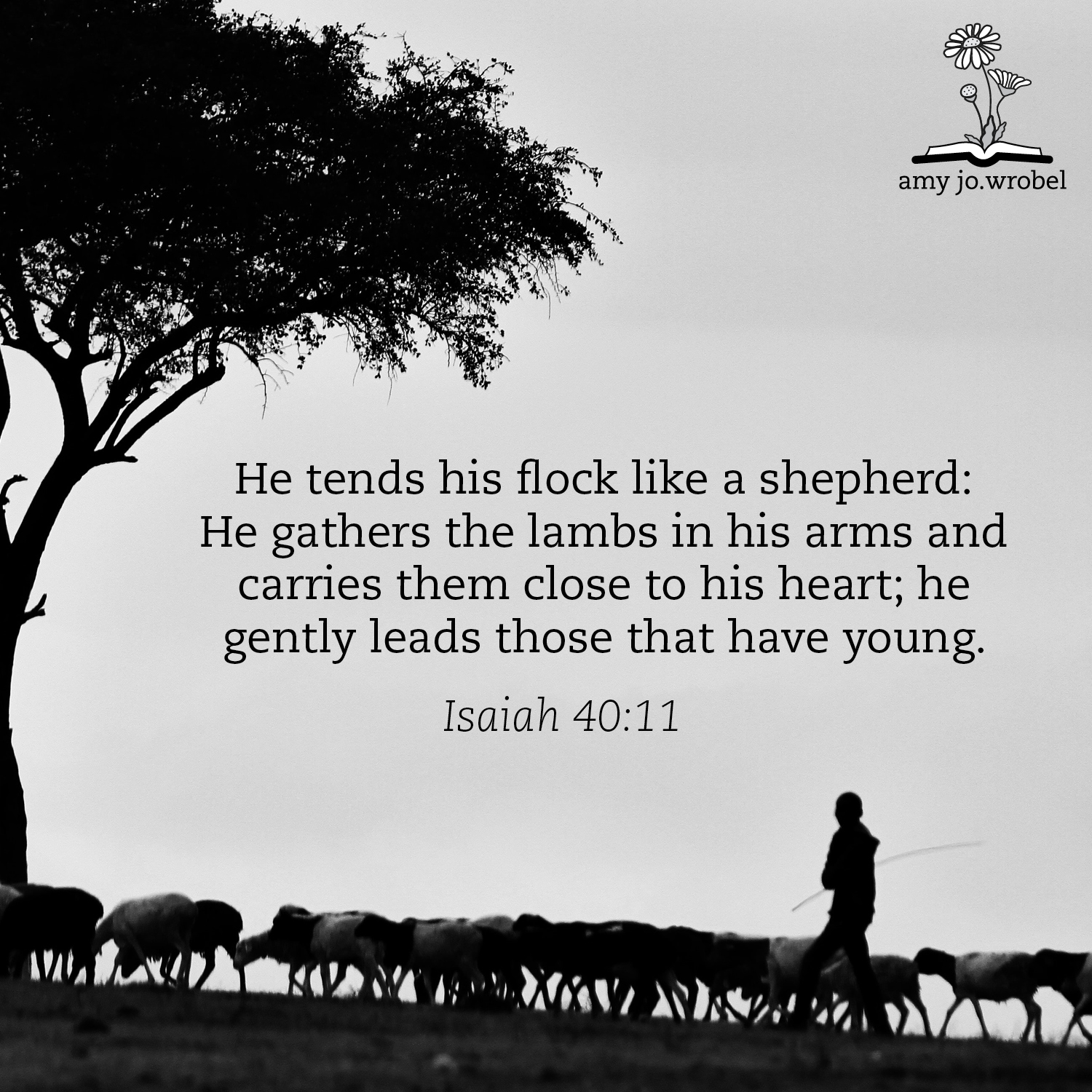 Featured image for “Gentle Shepherd”